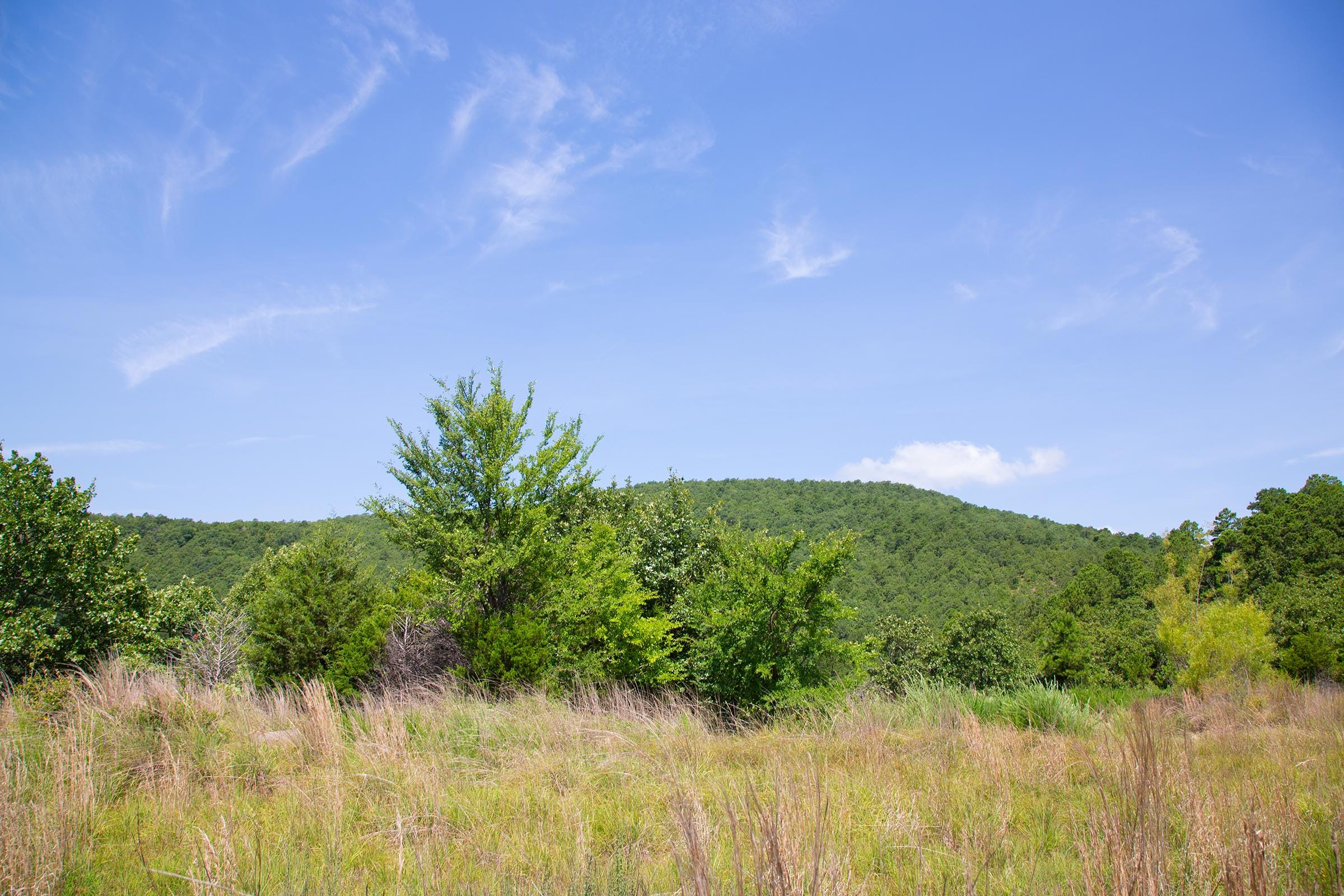 Tyler Stone Ranch Tract 81 photo 14