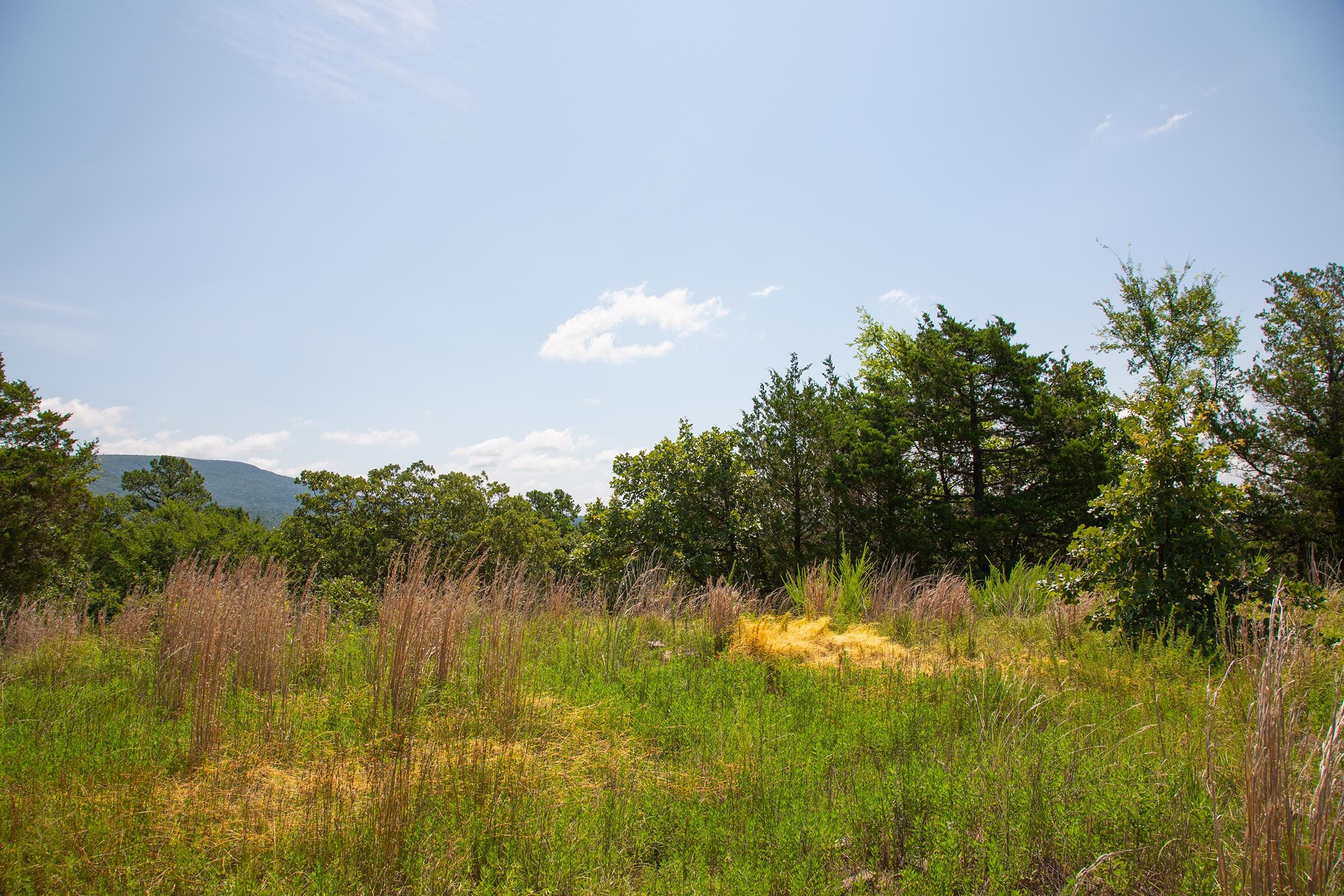 Tyler Stone Ranch Tract 81 photo 15
