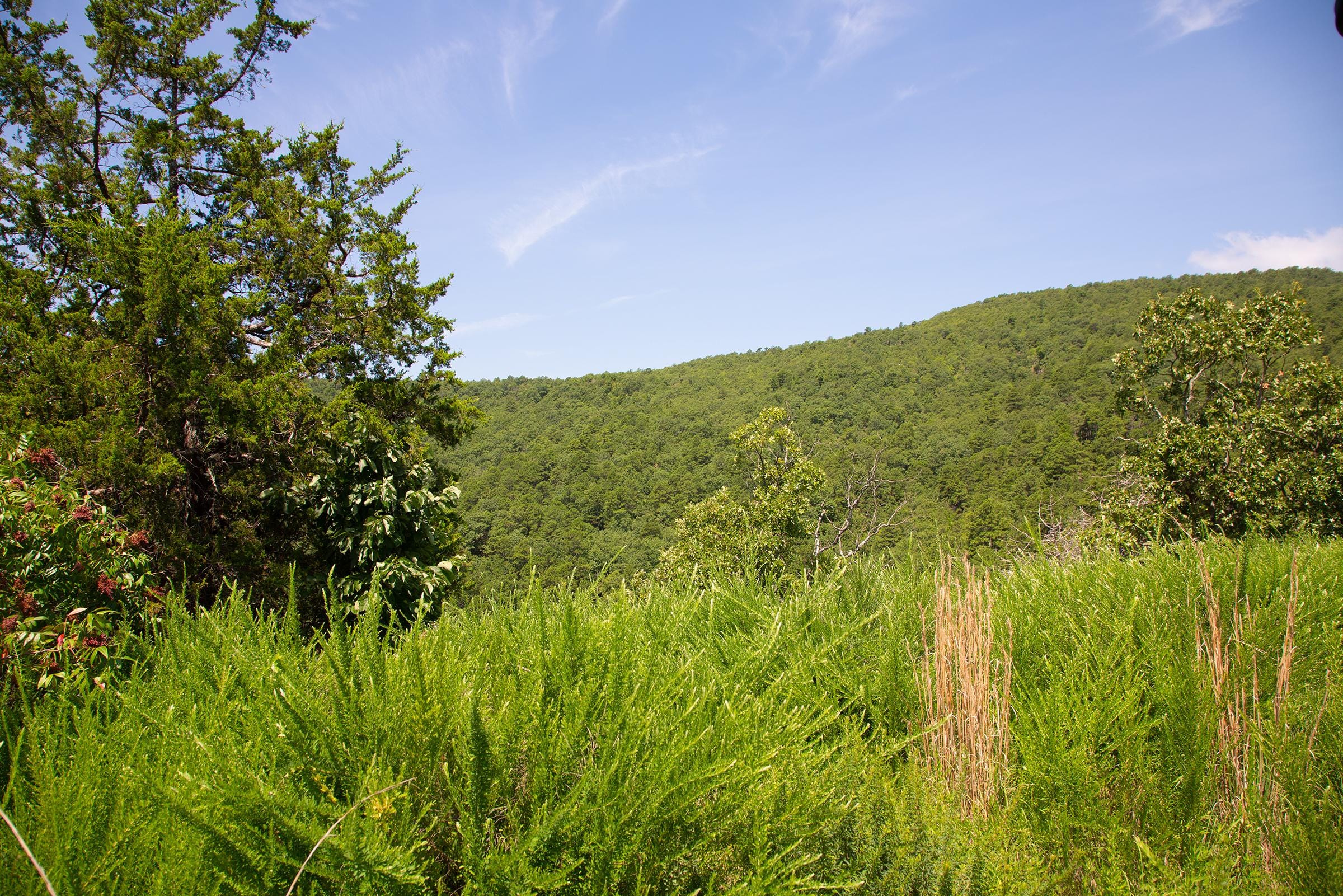 Tyler Stone Ranch Tract 81 photo 16