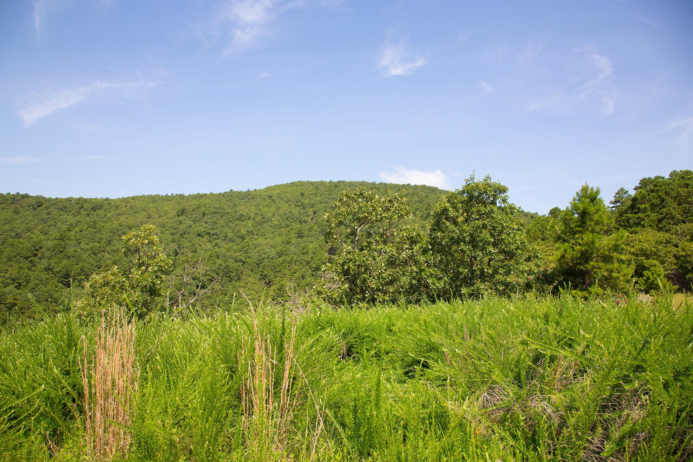 Tyler Stone Ranch Tract 81 photo 17