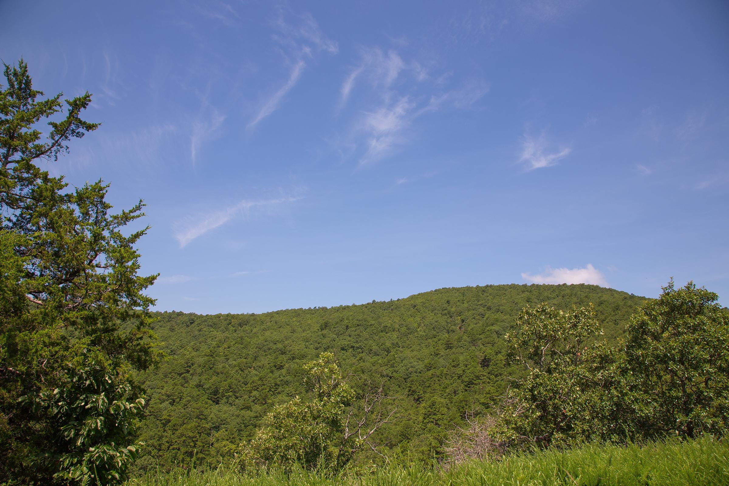 Tyler Stone Ranch Tract 81 photo 18
