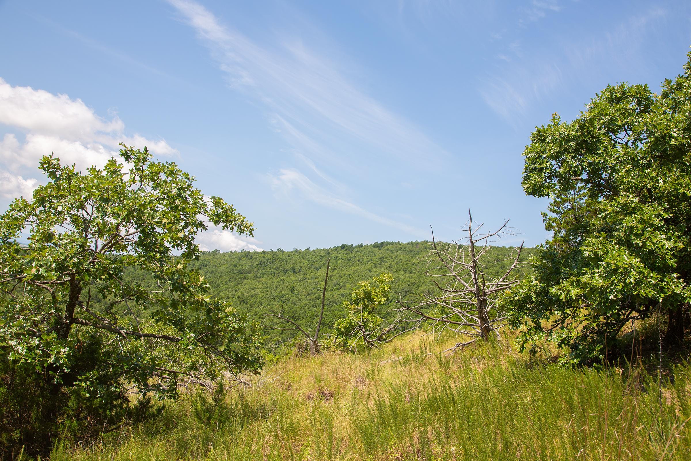 Tyler Stone Ranch Tract 81 photo 19