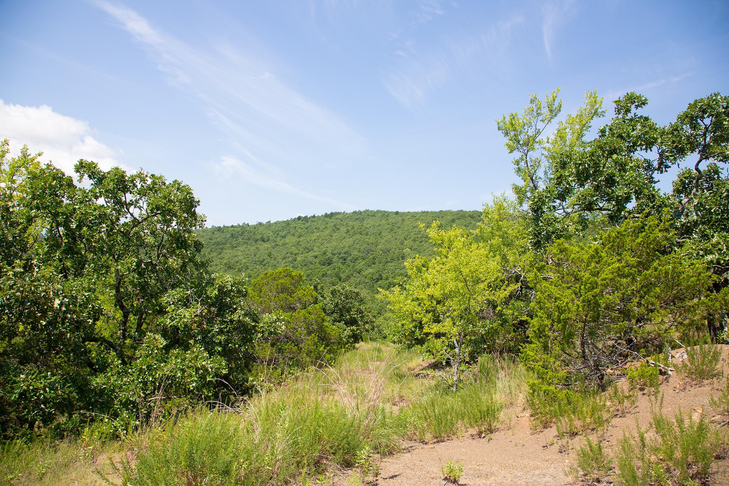 Tyler Stone Ranch Tract 81 photo 20