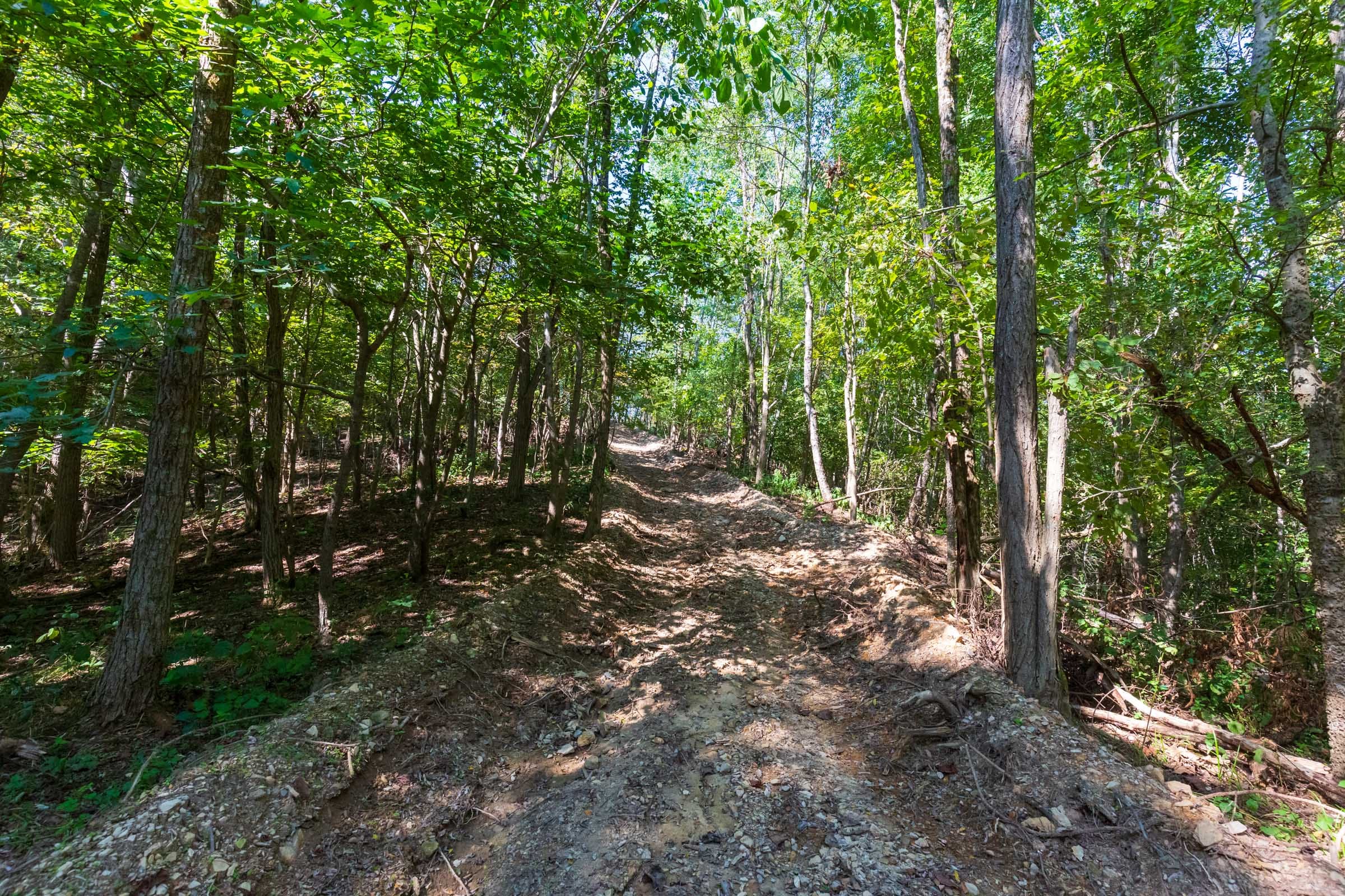 Redemption Ridge Tract 11 photo 1
