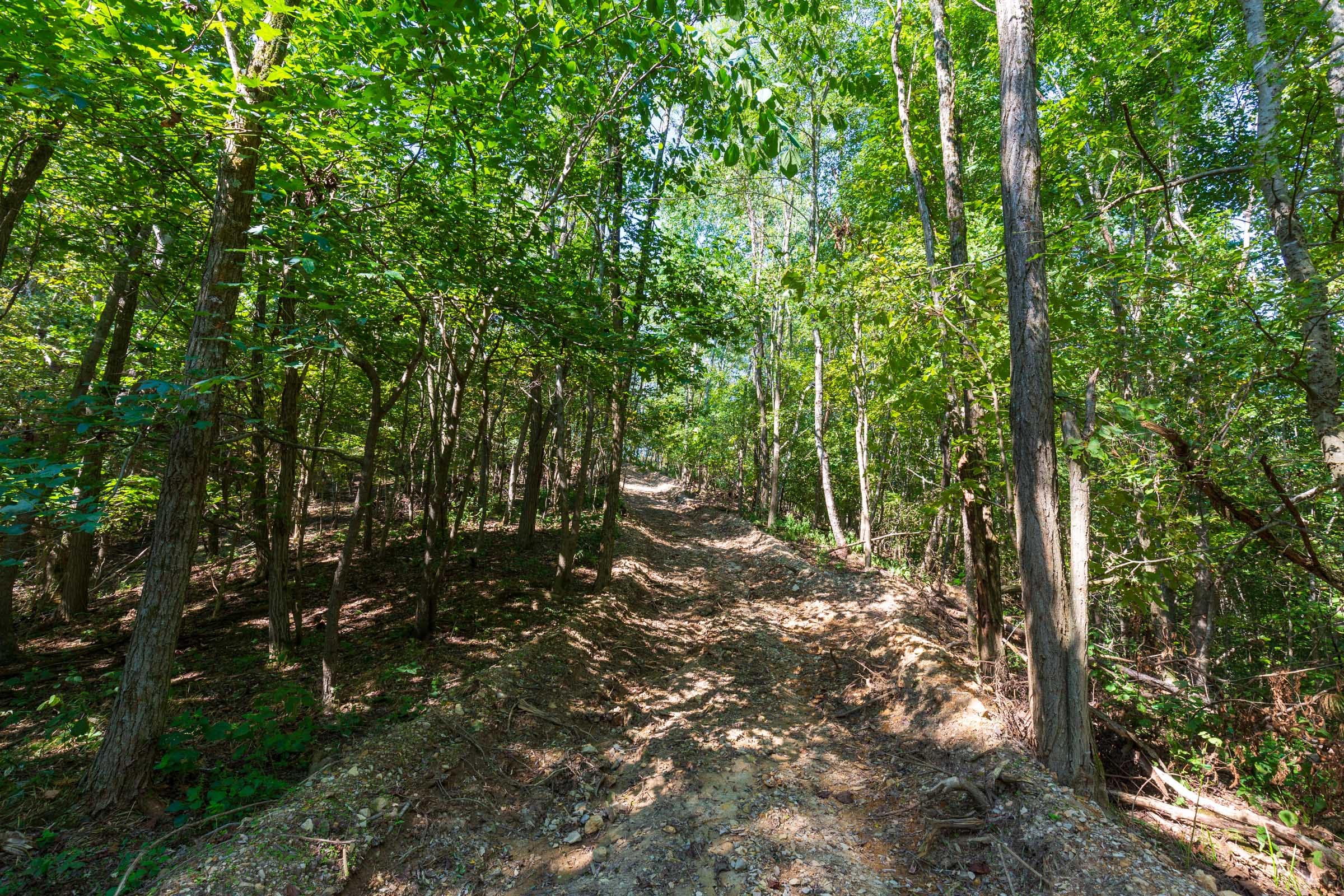 Redemption Ridge Tract 11 photo 4
