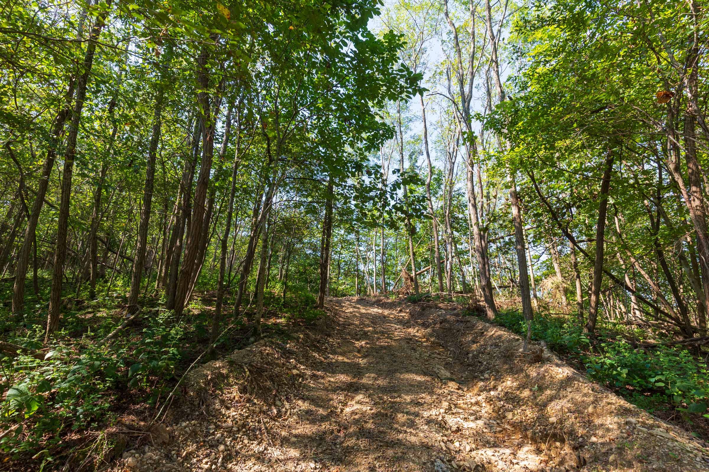 Redemption Ridge Tract 11 photo 8