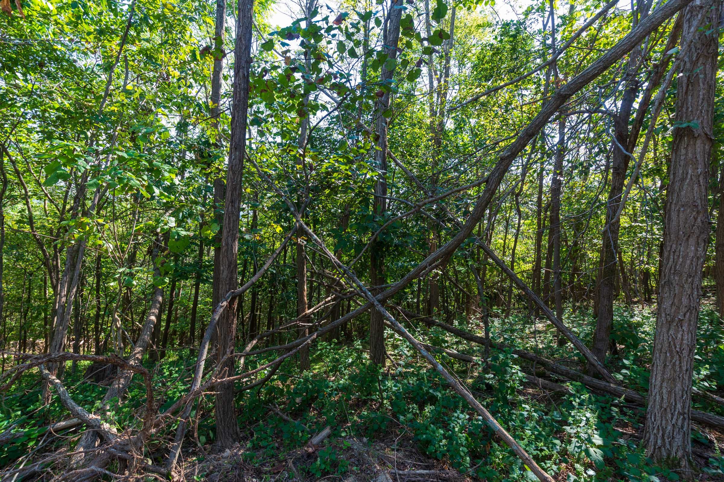 Redemption Ridge Tract 11 photo 11