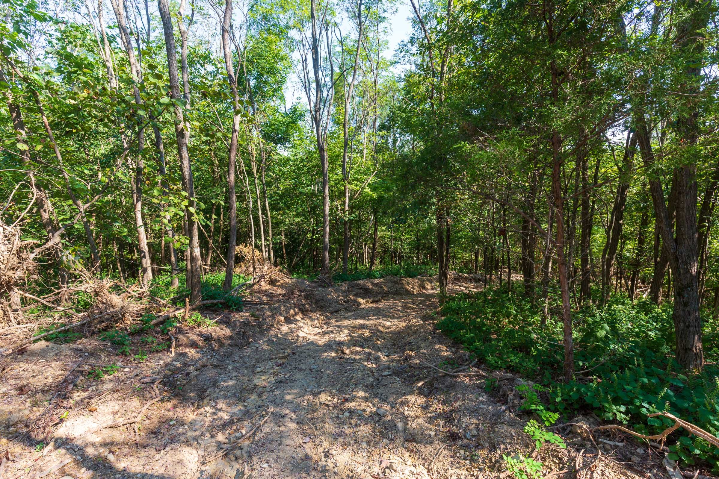Redemption Ridge Tract 11 photo 10