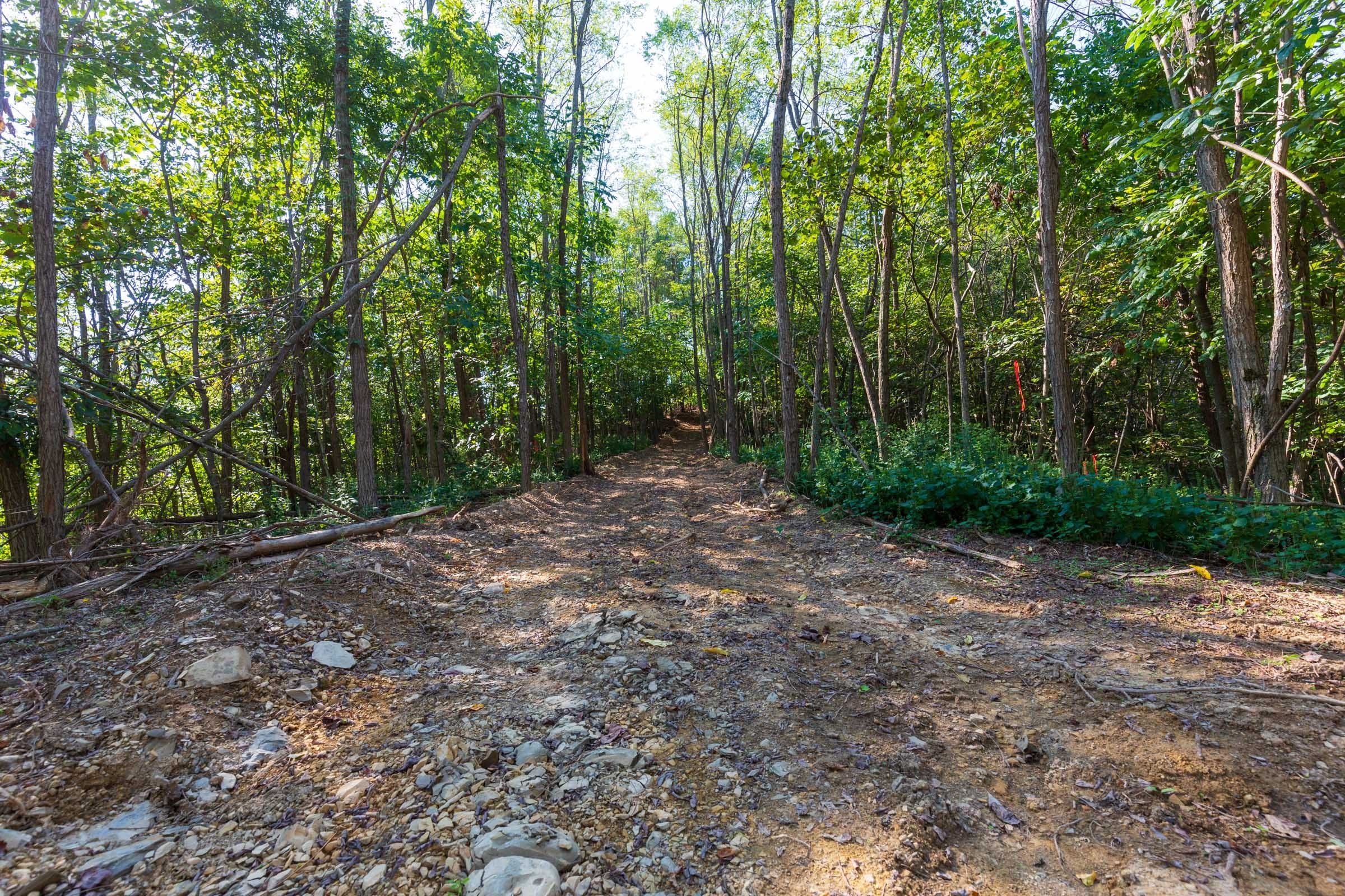Redemption Ridge Tract 11 photo 12