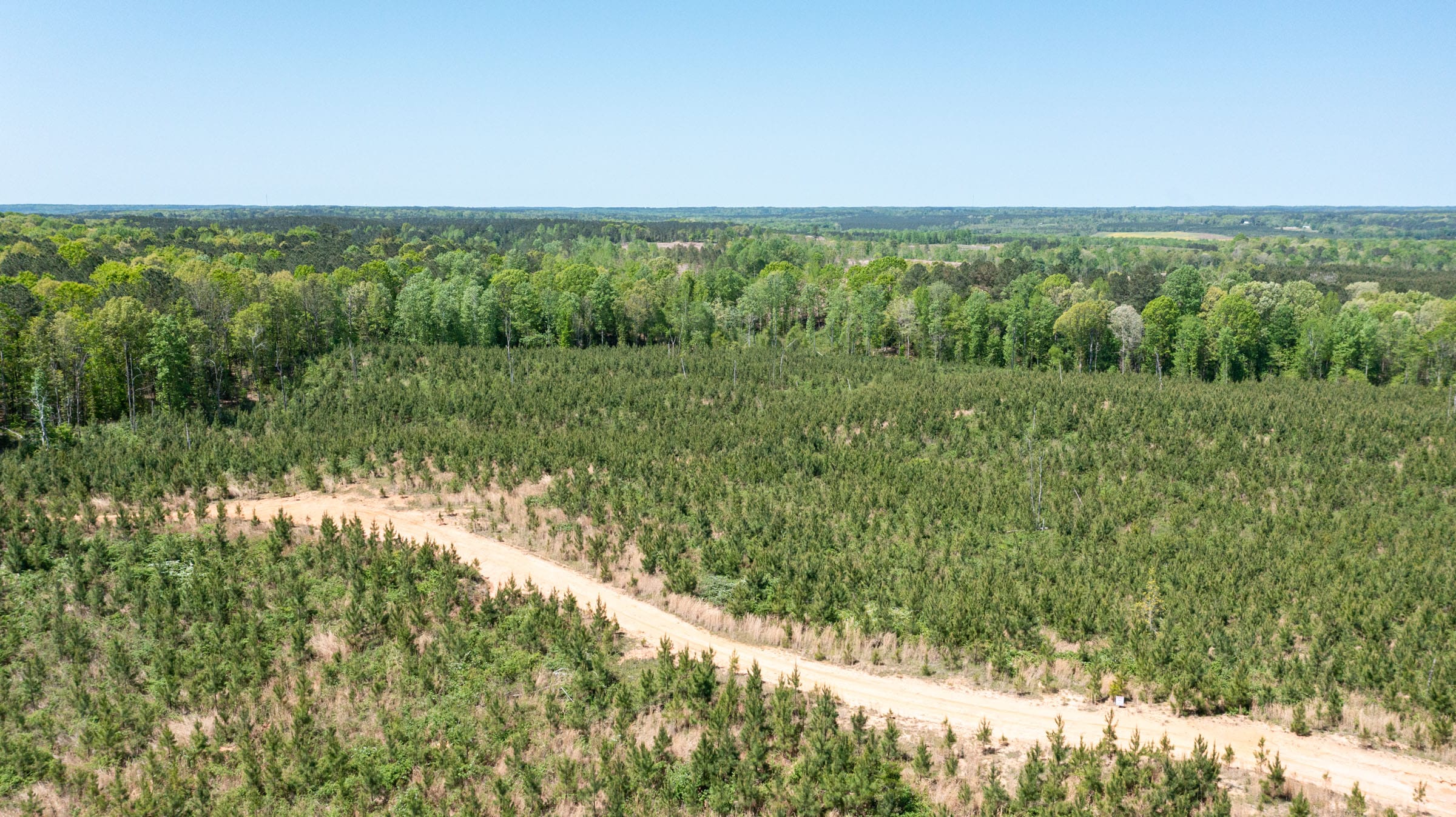 Clear Wood Tract 33 photo 3