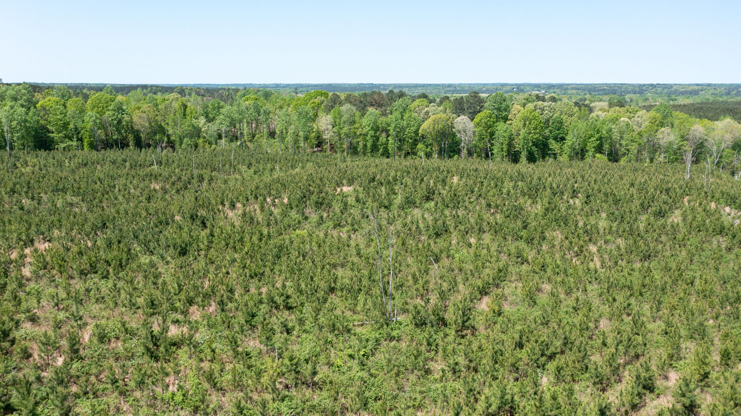Clear Wood Tract 33 photo 4