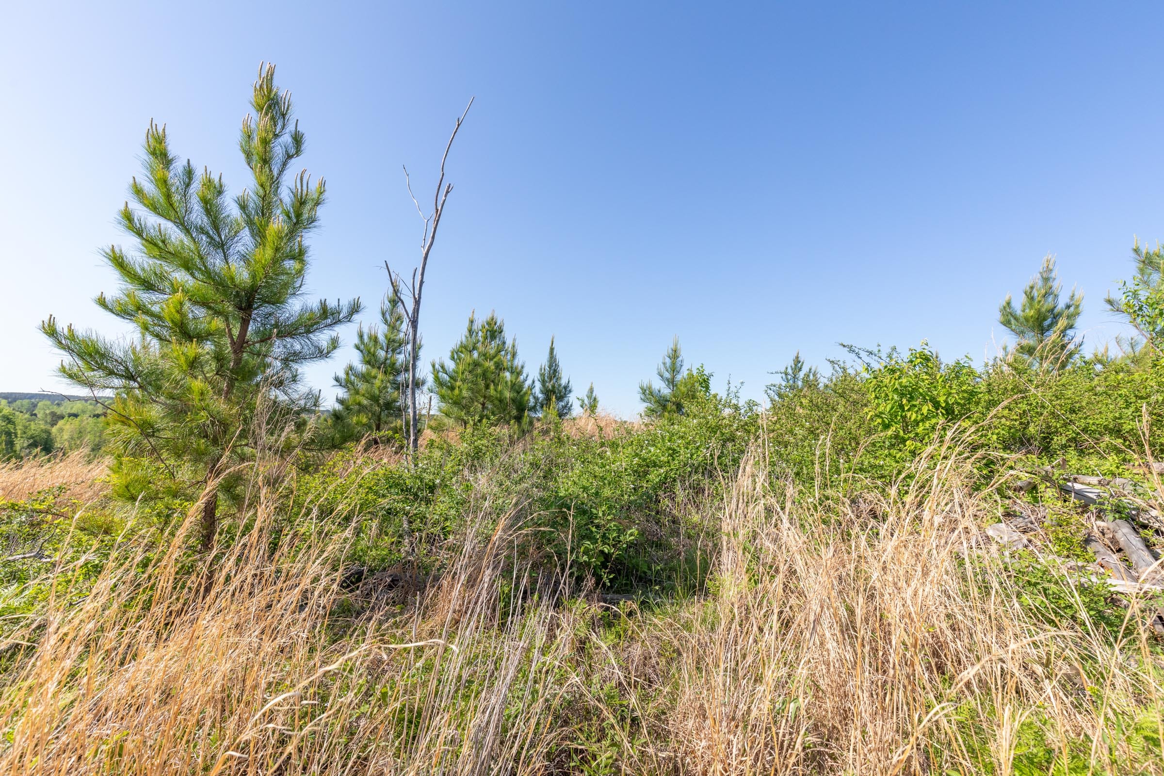 Clear Wood Tract 33 photo 7
