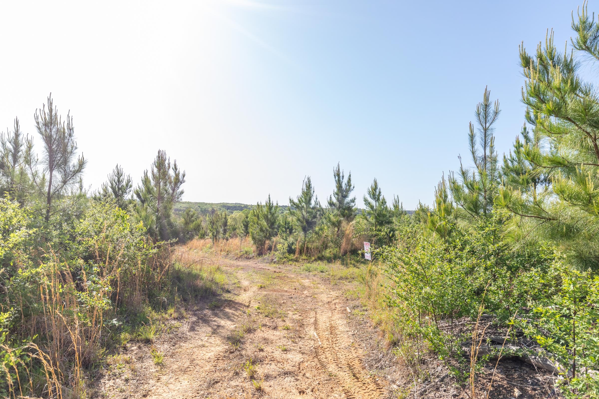 Clear Wood Tract 33 photo 1
