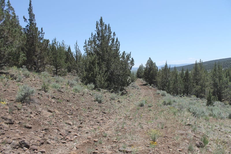 Moon Valley Ranch Tract 199 photo 1