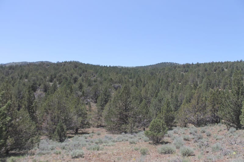 Moon Valley Ranch Tract 199 photo 4