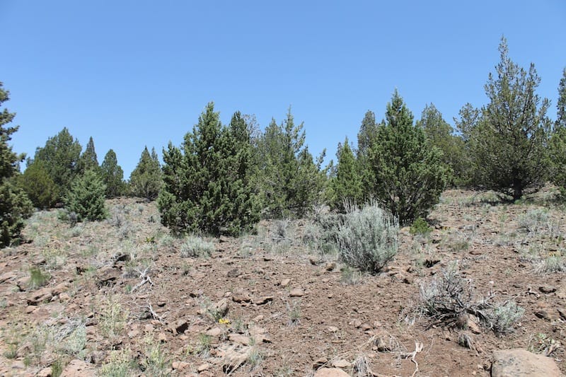 Moon Valley Ranch Tract 199 photo 8