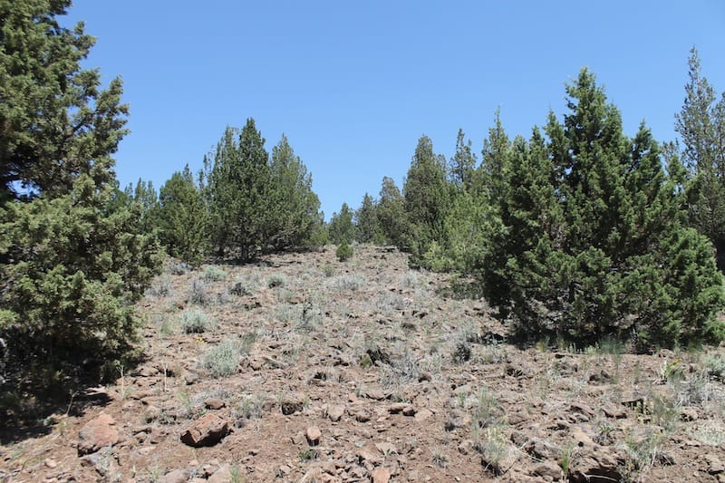 Moon Valley Ranch Tract 199 photo 9