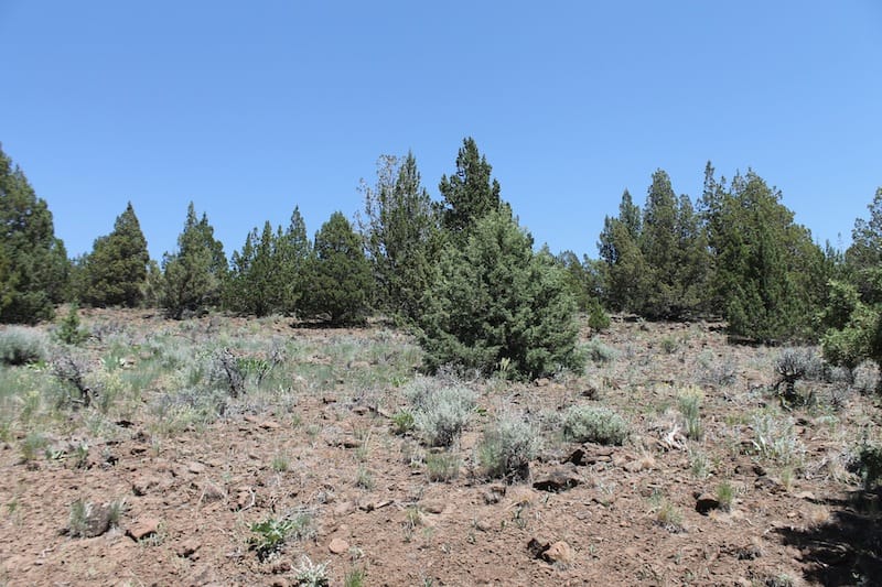 Moon Valley Ranch Tract 199 photo 11
