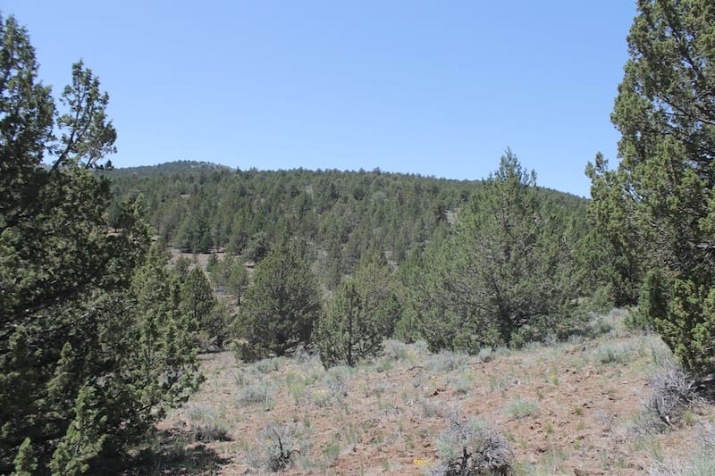 Moon Valley Ranch Tract 199 photo 12