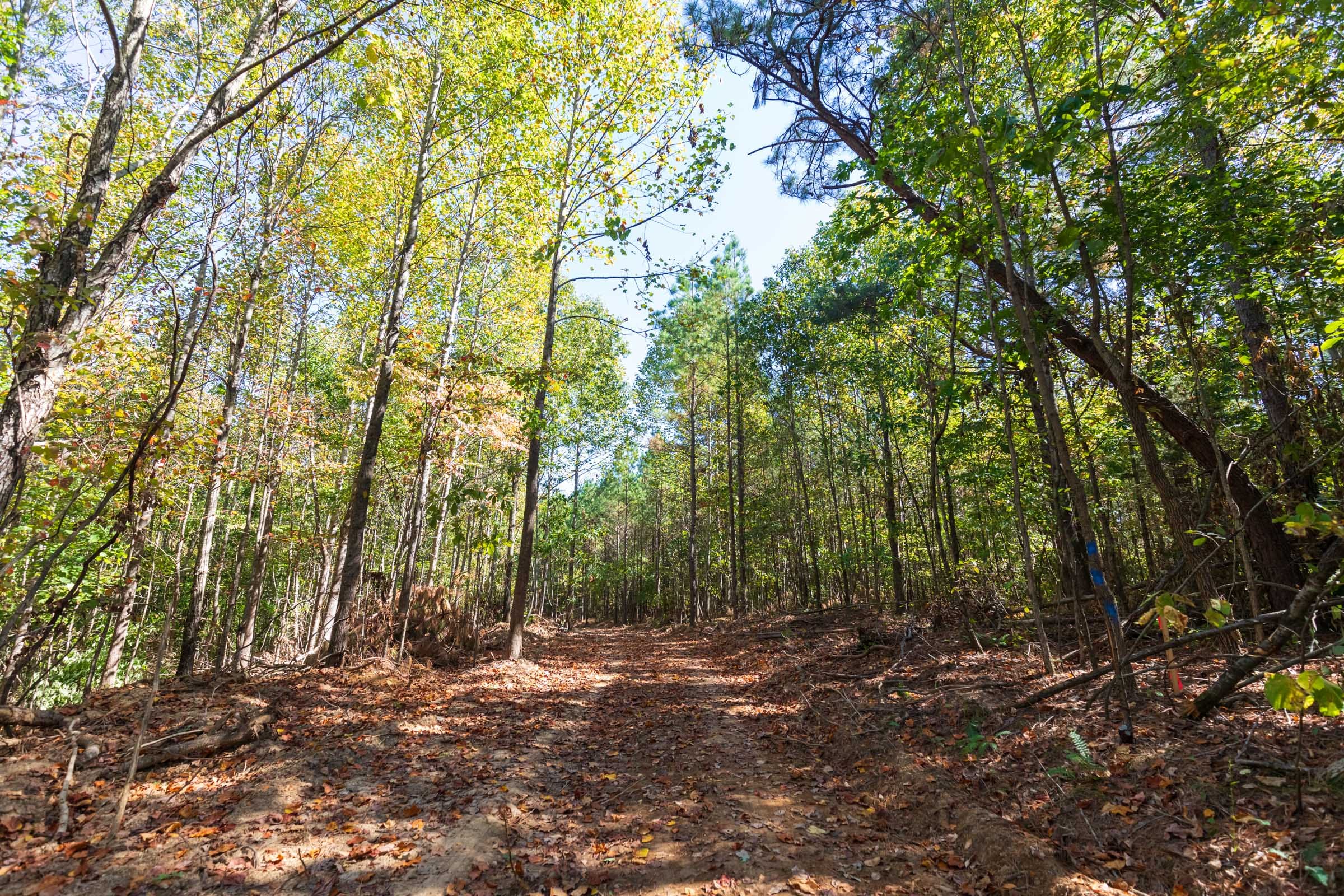 Bear Brook Tract 7 photo 1