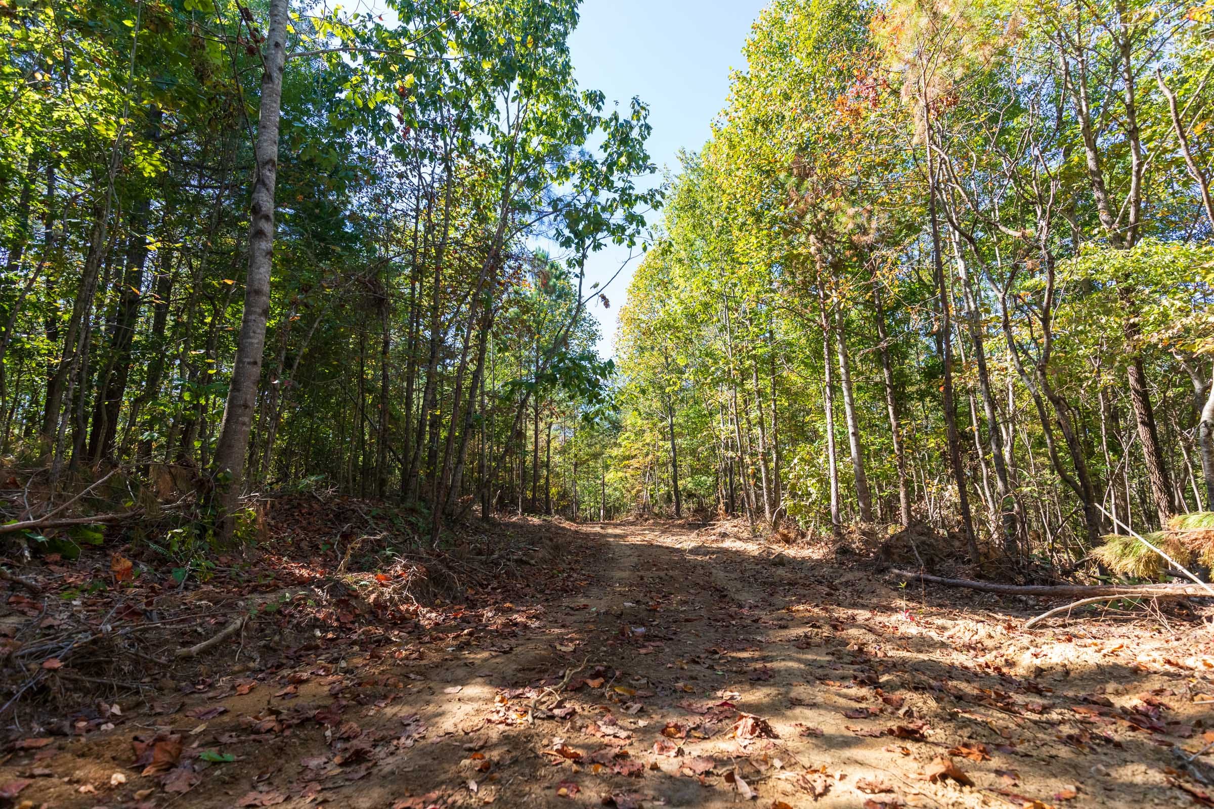 Bear Brook Tract 7 photo 3