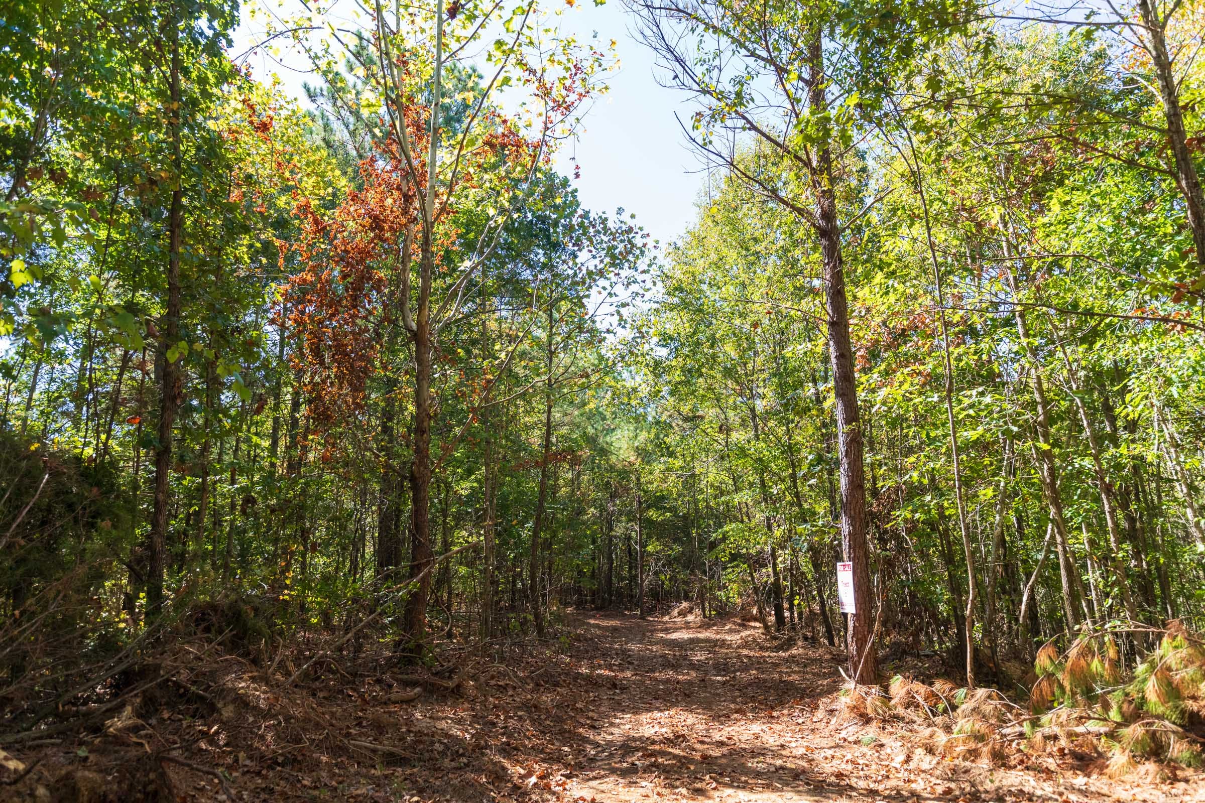 Bear Brook Tract 7 photo 6