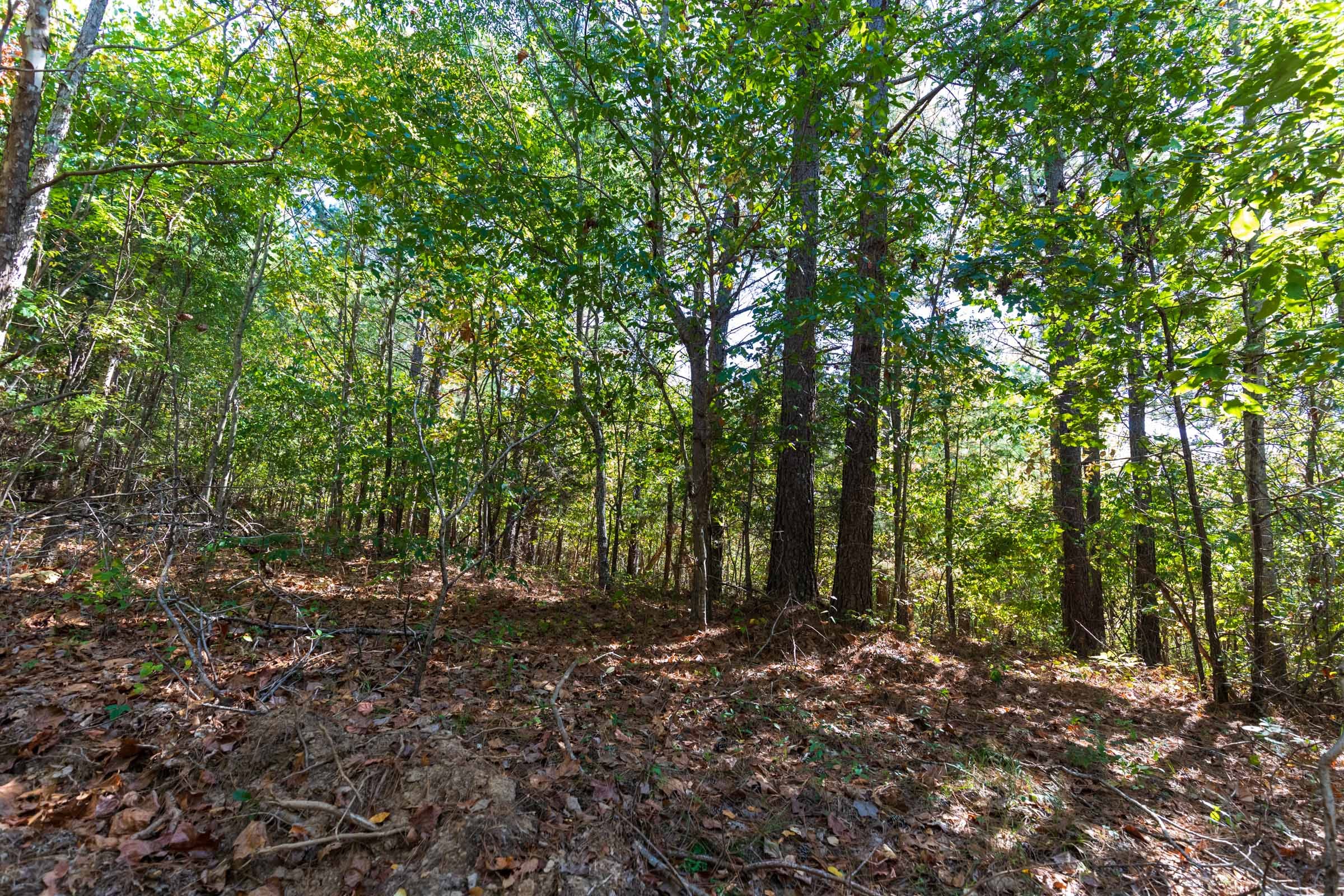 Bear Brook Tract 7 photo 11
