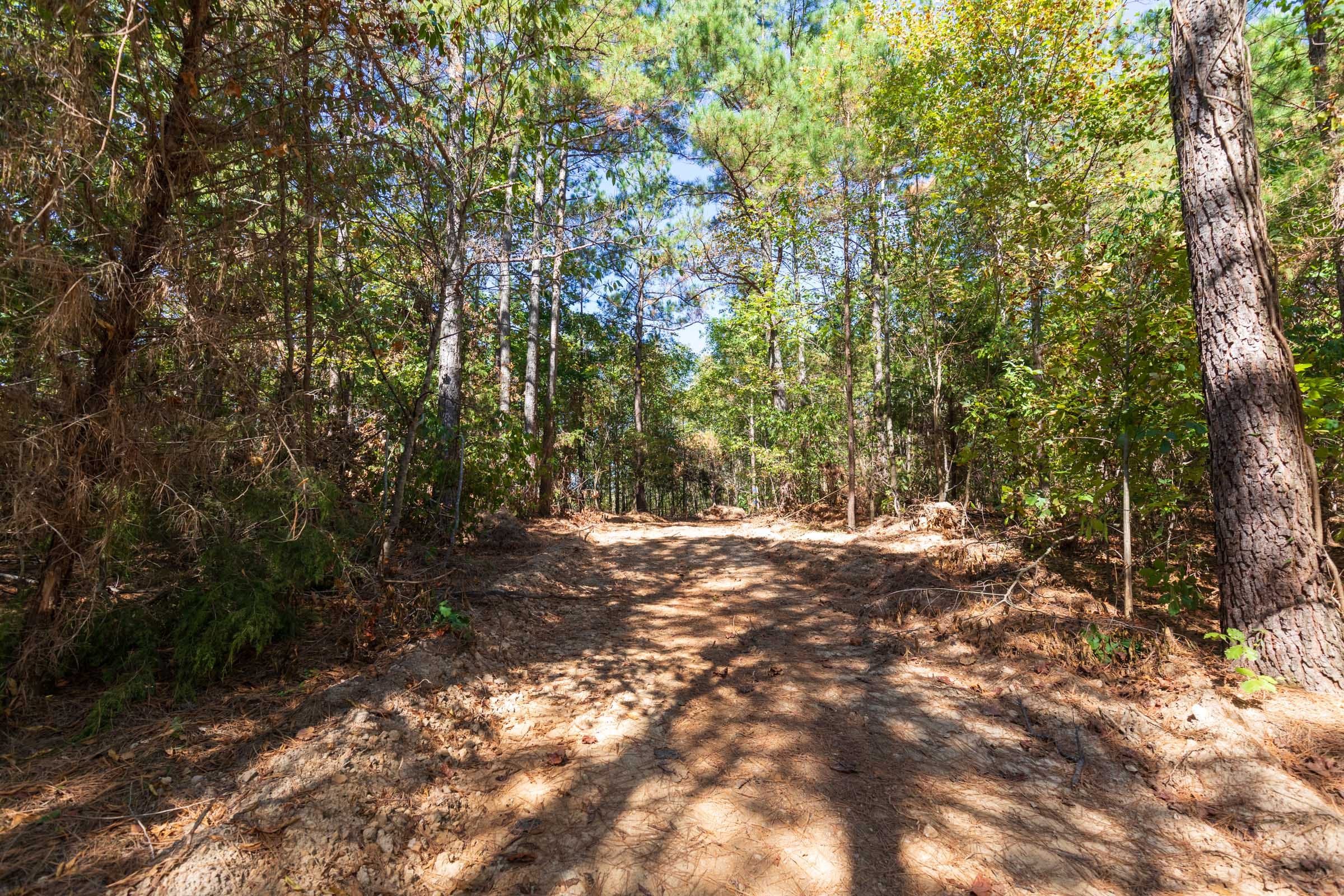 Bear Brook Tract 7 photo 9
