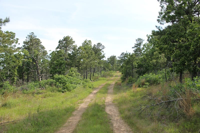 Indian Ridge – Phase II Tract 37 photo 1