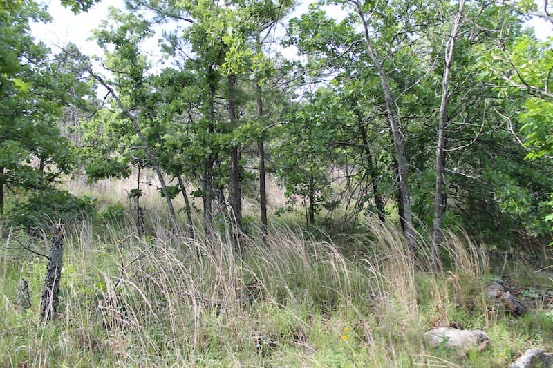 Indian Ridge – Phase II Tract 37 photo 2