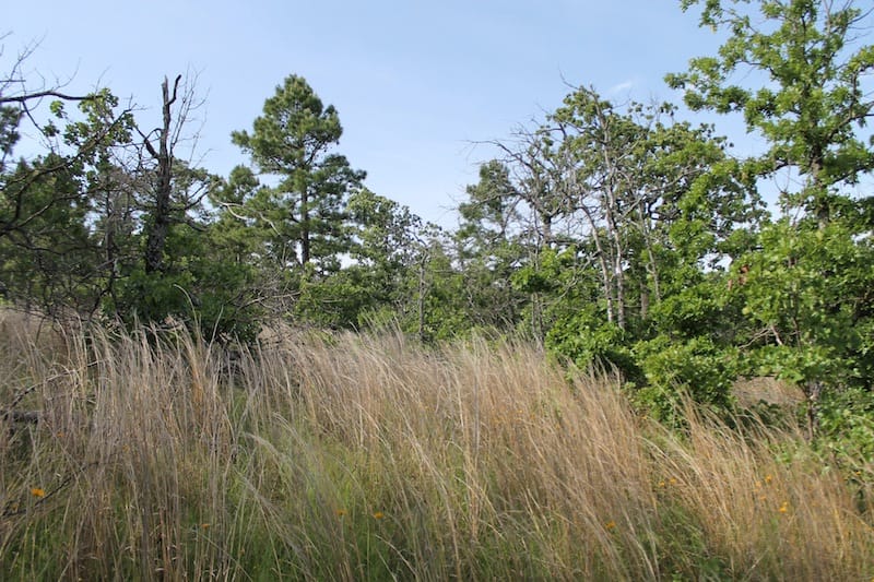 Indian Ridge – Phase II Tract 37 photo 7