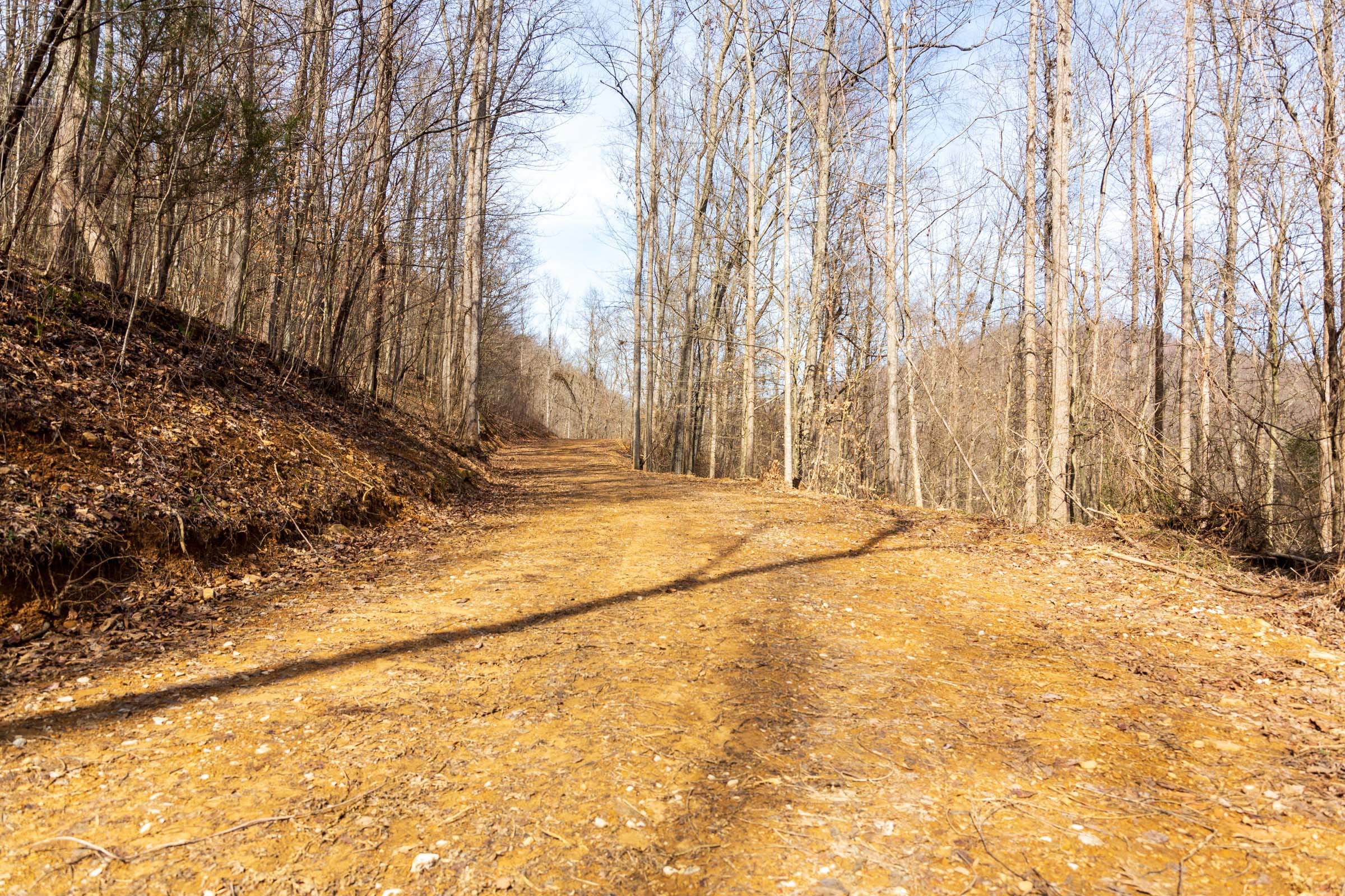 Blackstone Mountain Phase II Tract 66 photo 1