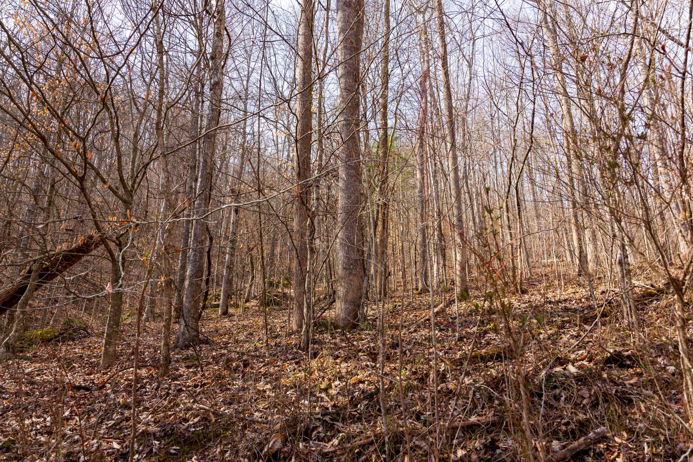 Blackstone Mountain Phase II Tract 66 photo 2