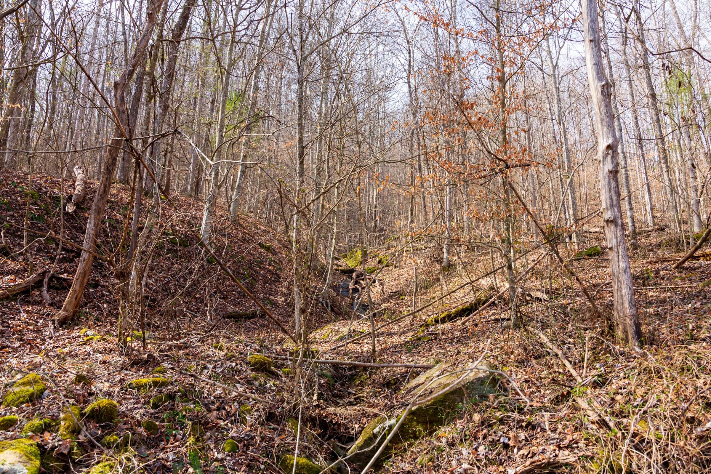 Blackstone Mountain Phase II Tract 66 photo 3