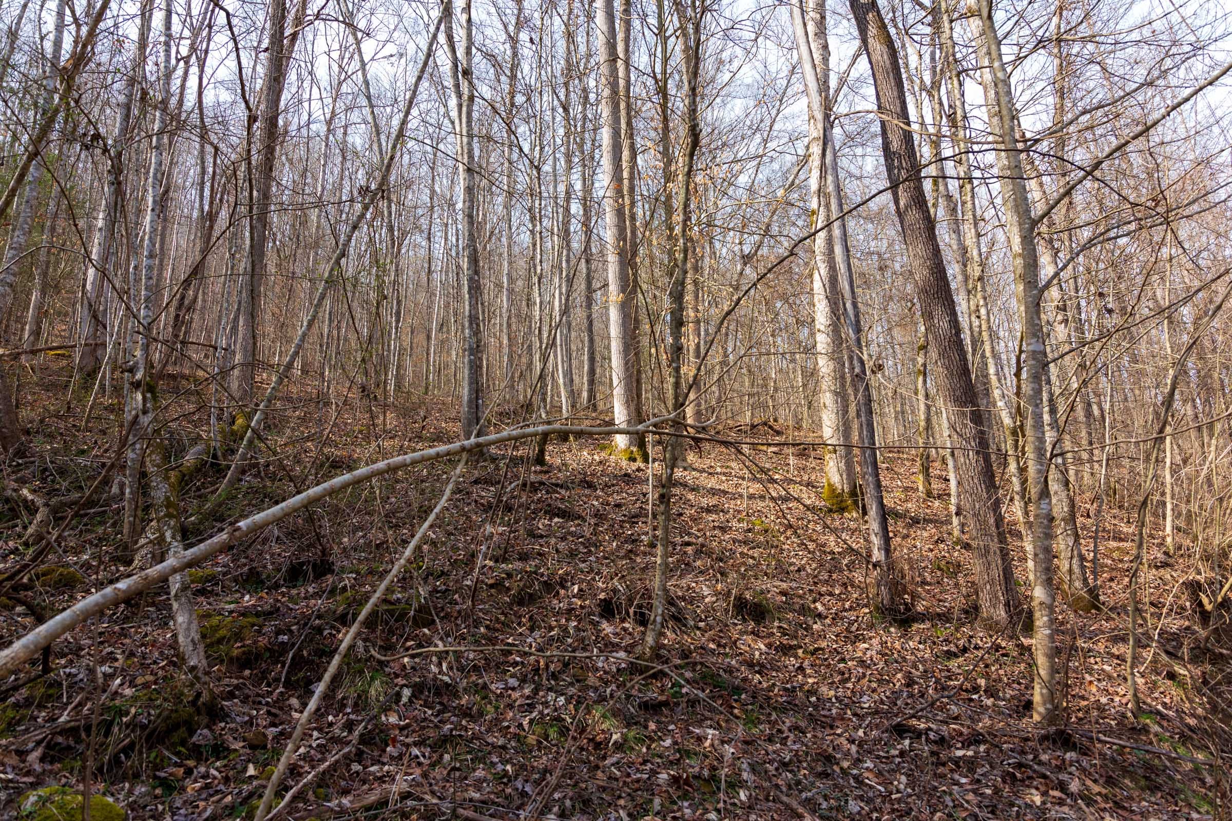 Blackstone Mountain Phase II Tract 66 photo 8