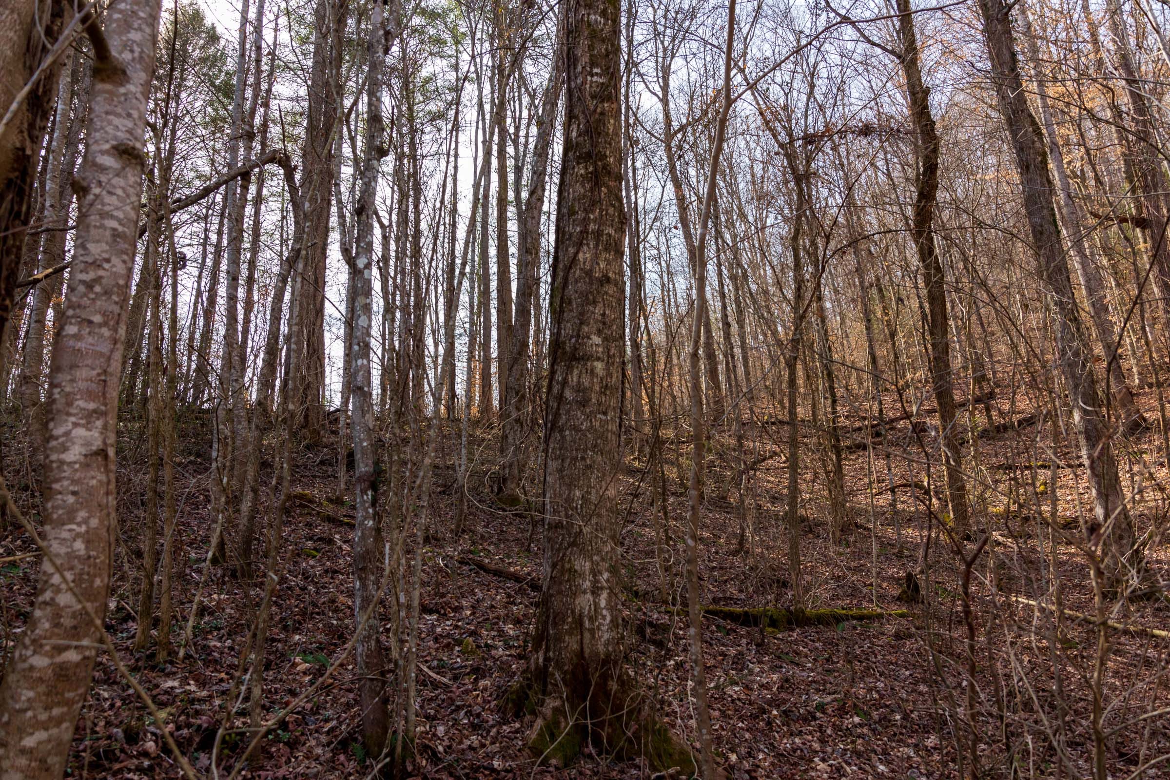 Blackstone Mountain Phase II Tract 66 photo 10