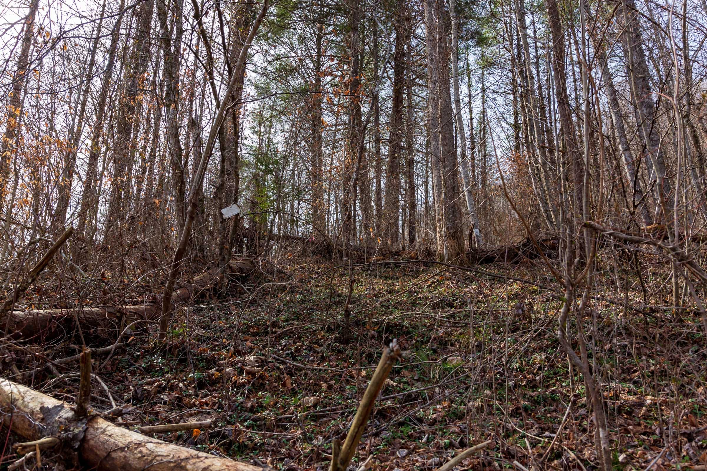 Blackstone Mountain Phase II Tract 66 photo 11