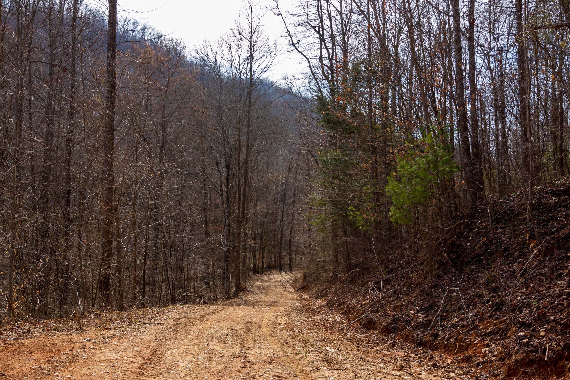 Blackstone Mountain Phase II Tract 66 photo 6
