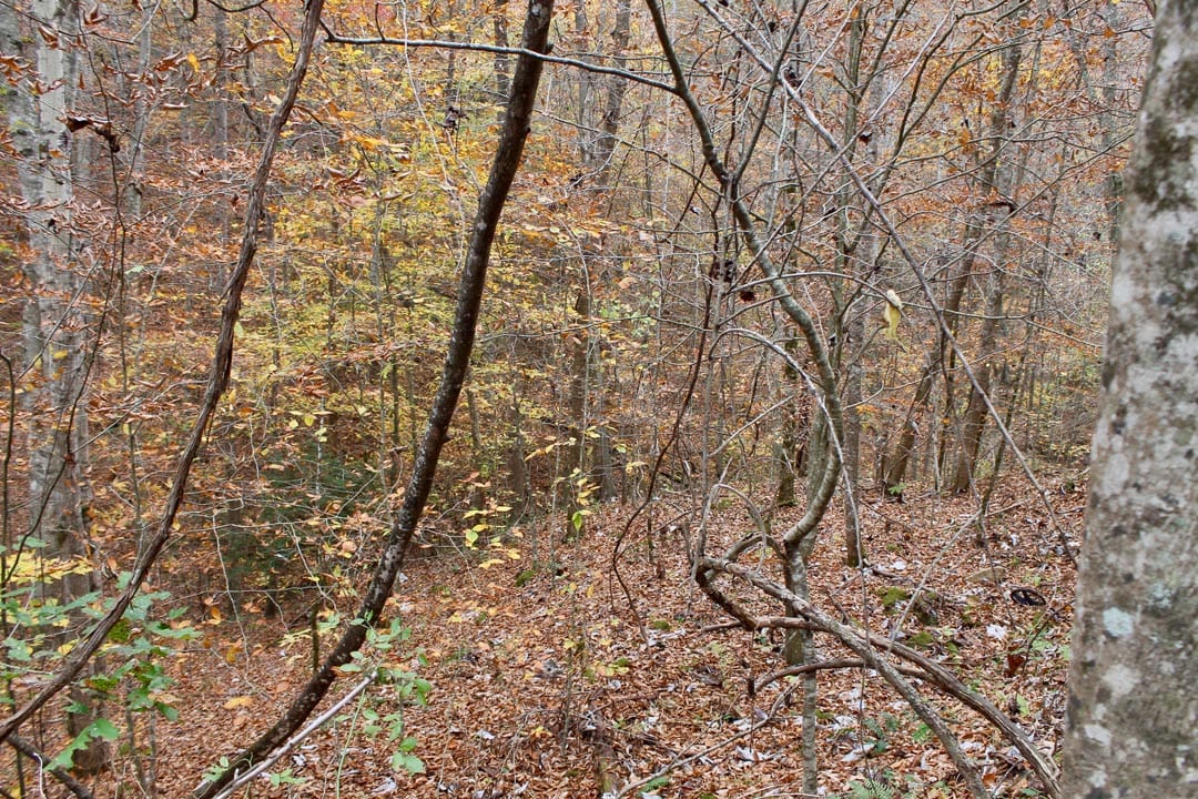Autumn Ridge Tract 4 photo 2