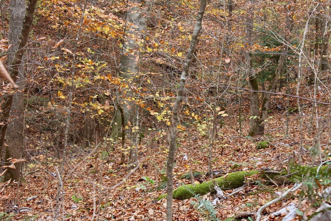 Autumn Ridge Tract 4 photo 7