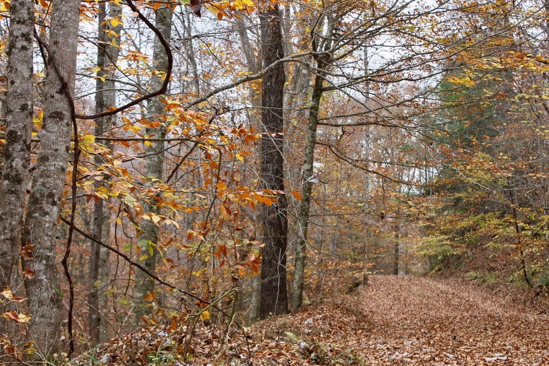 Autumn Ridge Tract 4 photo 1