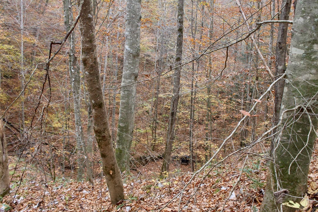 Autumn Ridge Tract 4 photo 9