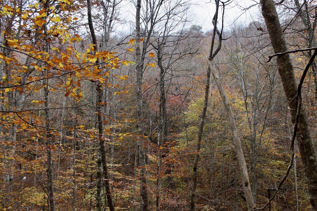 Autumn Ridge Tract 4 photo 10