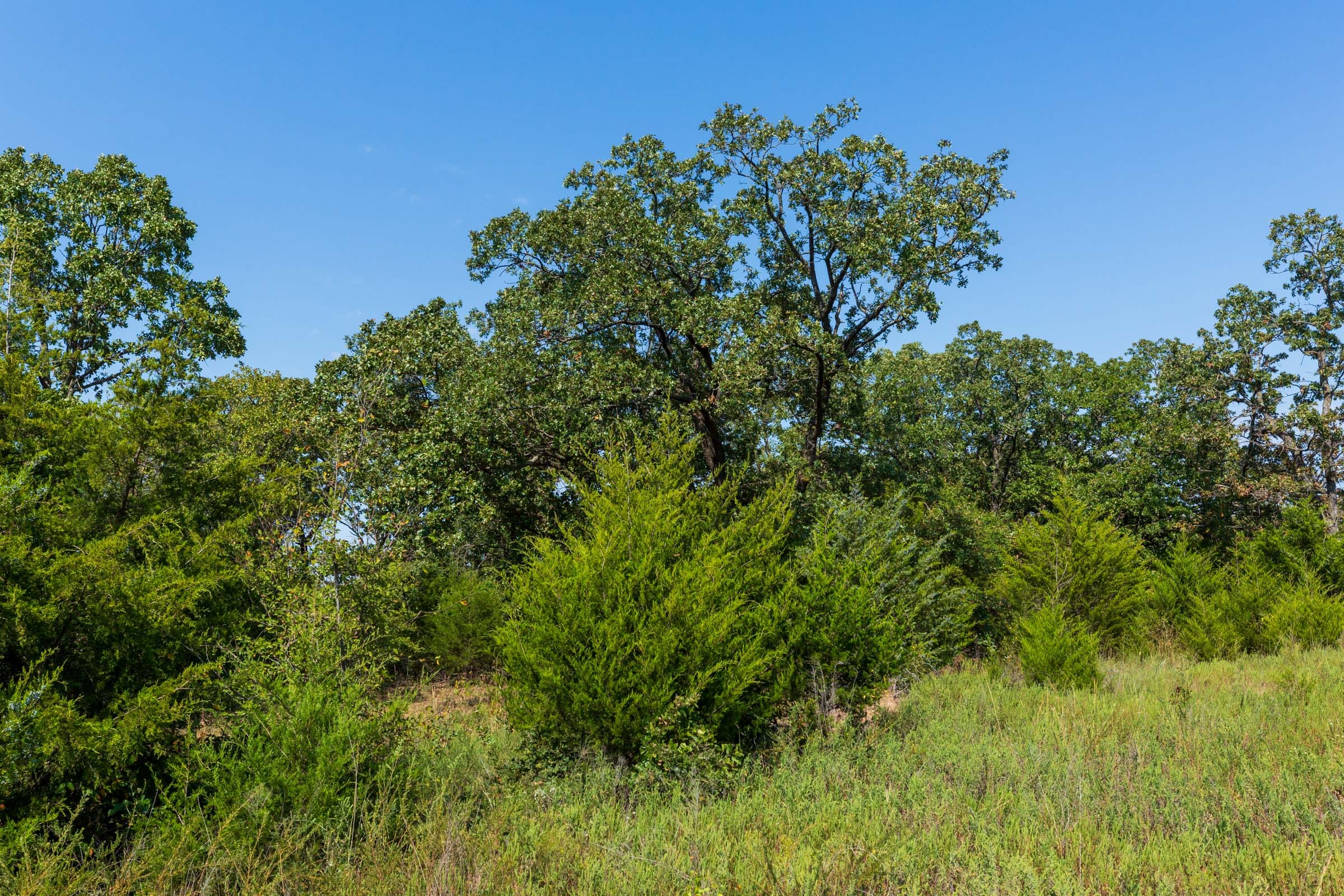 Canyon Creek Tract 16 photo 4