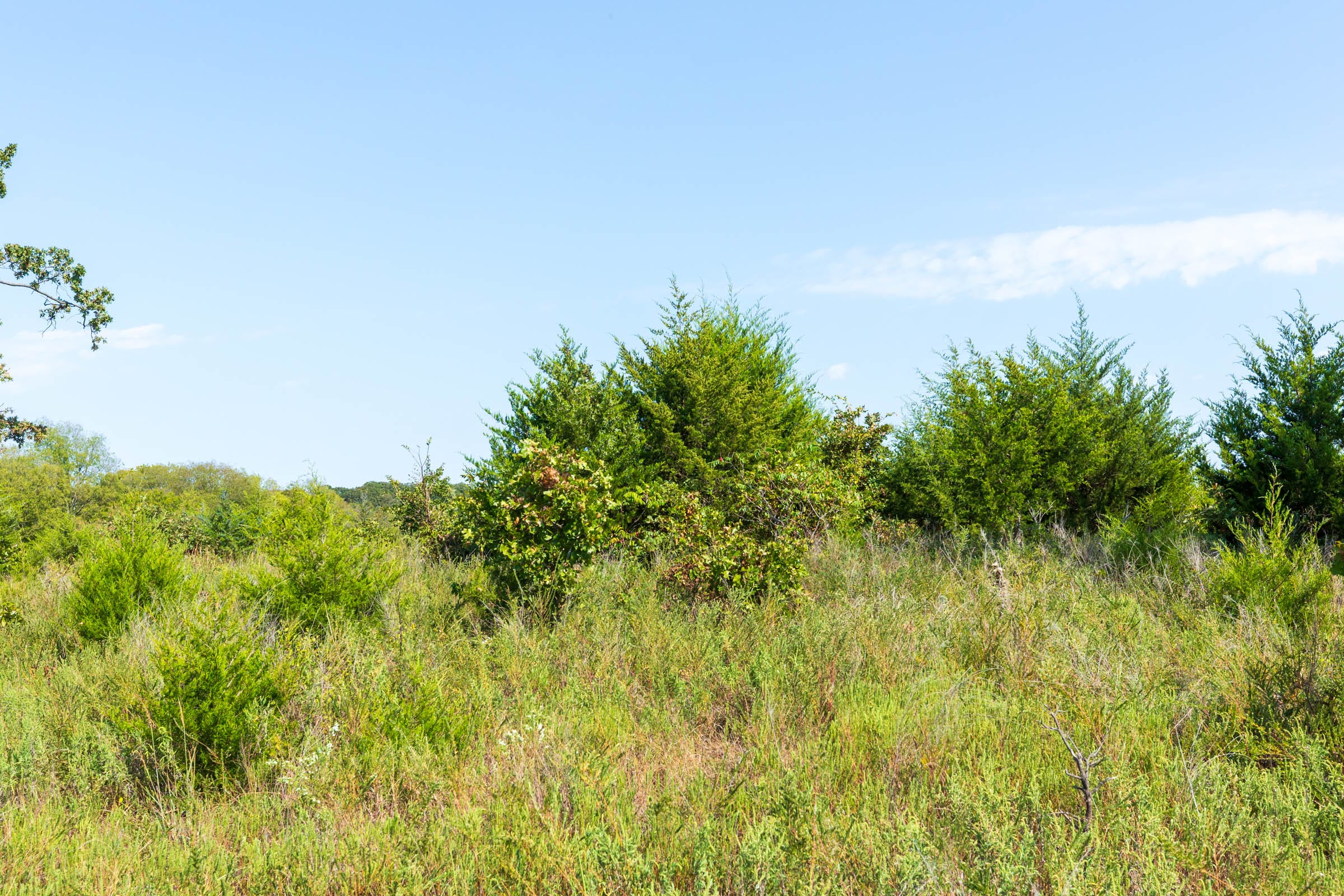 Canyon Creek Tract 16 photo 11