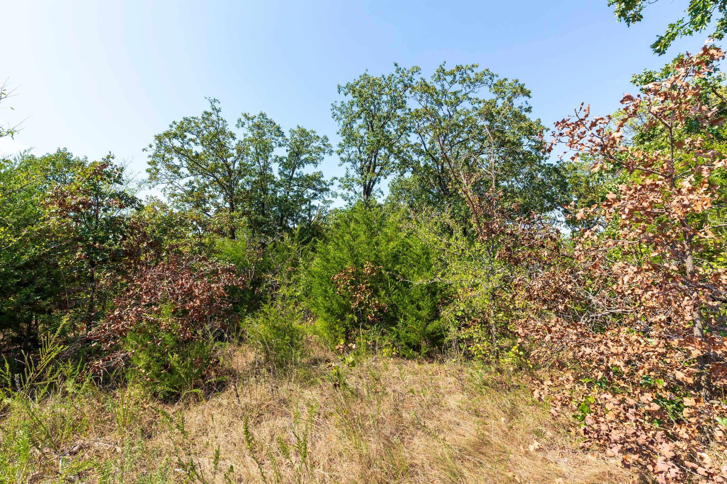 Canyon Creek Tract 16 photo 5
