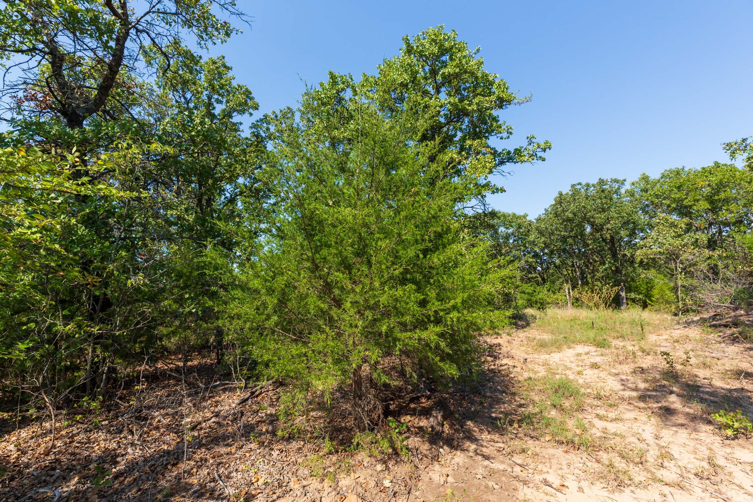 Canyon Creek Tract 16 photo 12