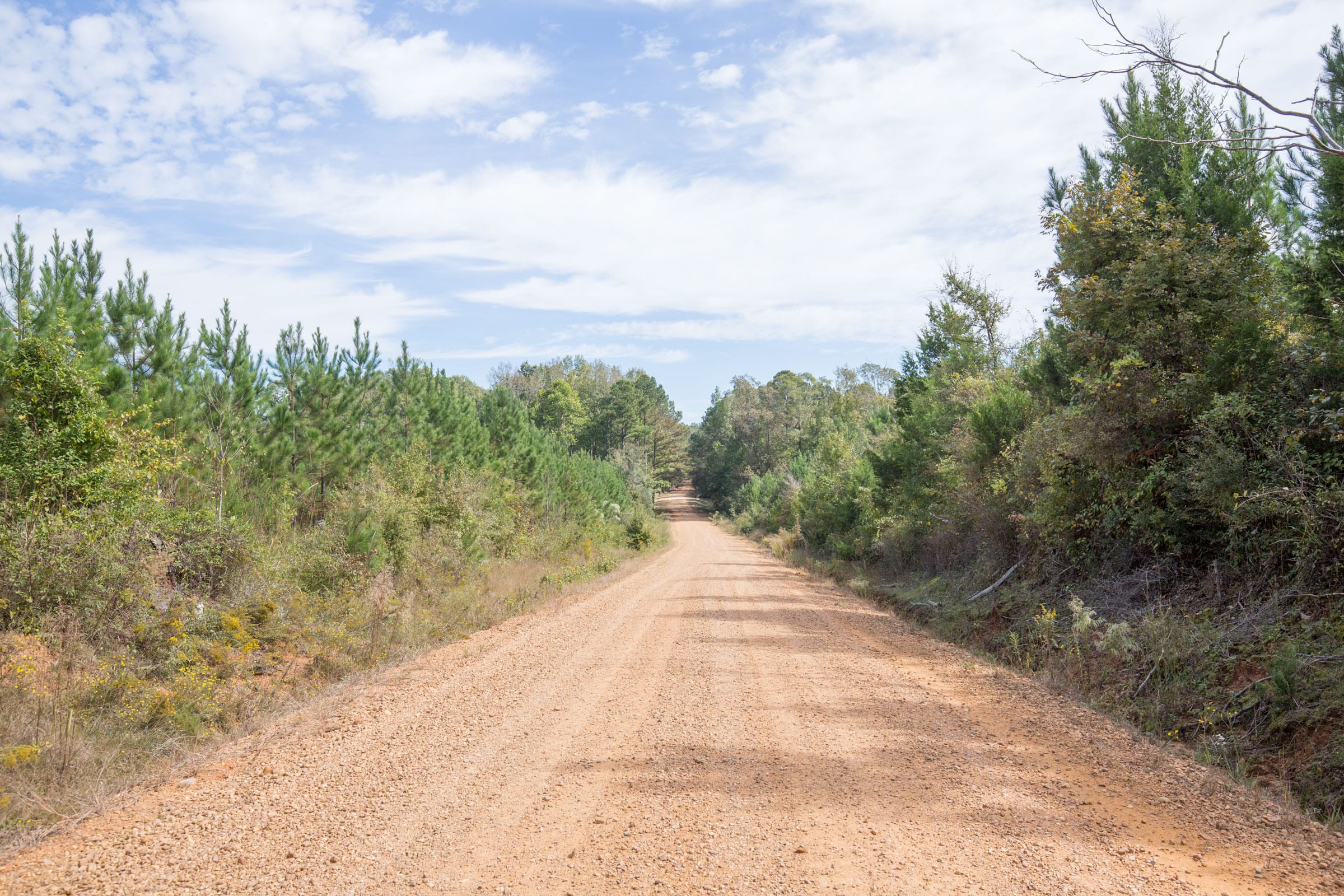 Brentwood Tract 4 photo 1