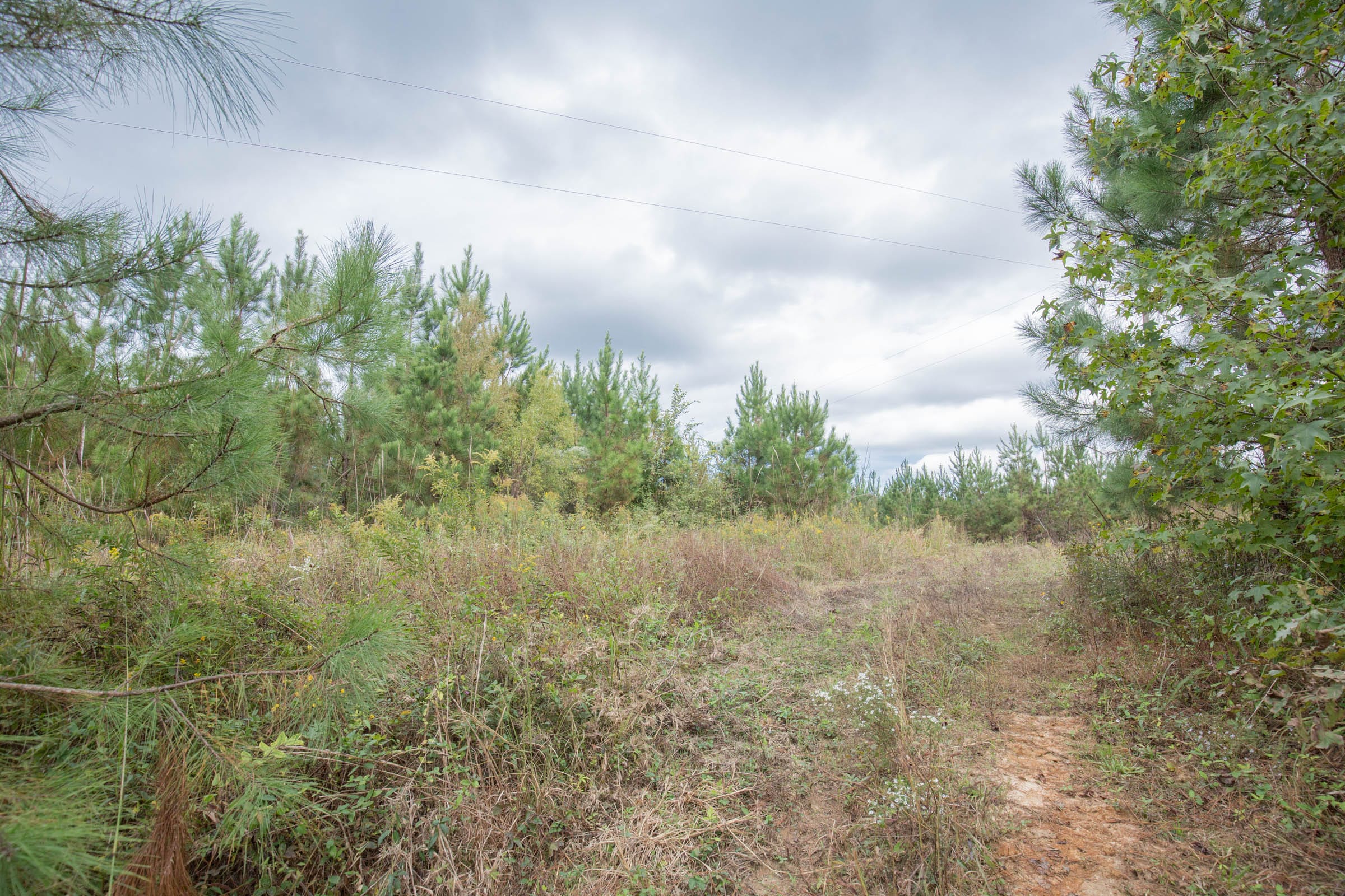 Brentwood Tract 4 photo 7
