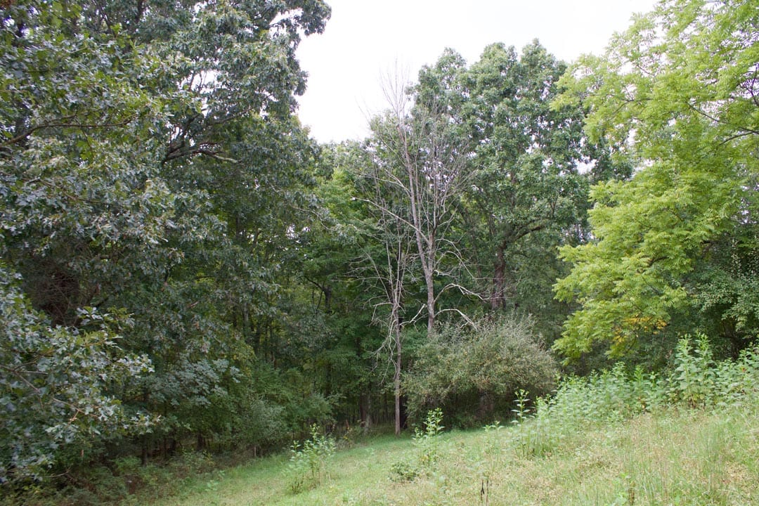 Heritage Hollow Tract 27 photo 3